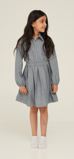 The Blue Grace Dress